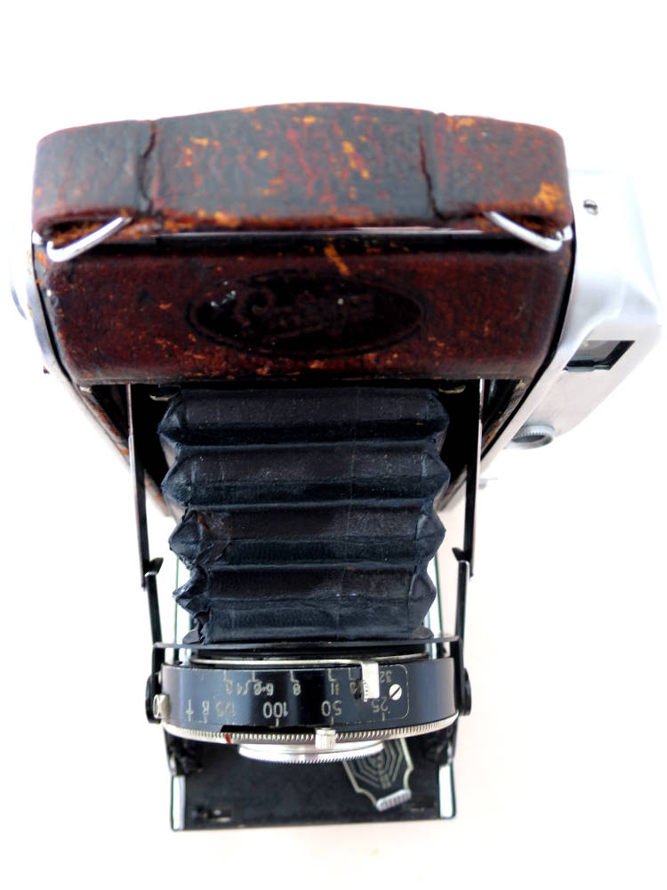 jpgensign/ensign_autorange_220_IMG_8510.JPG